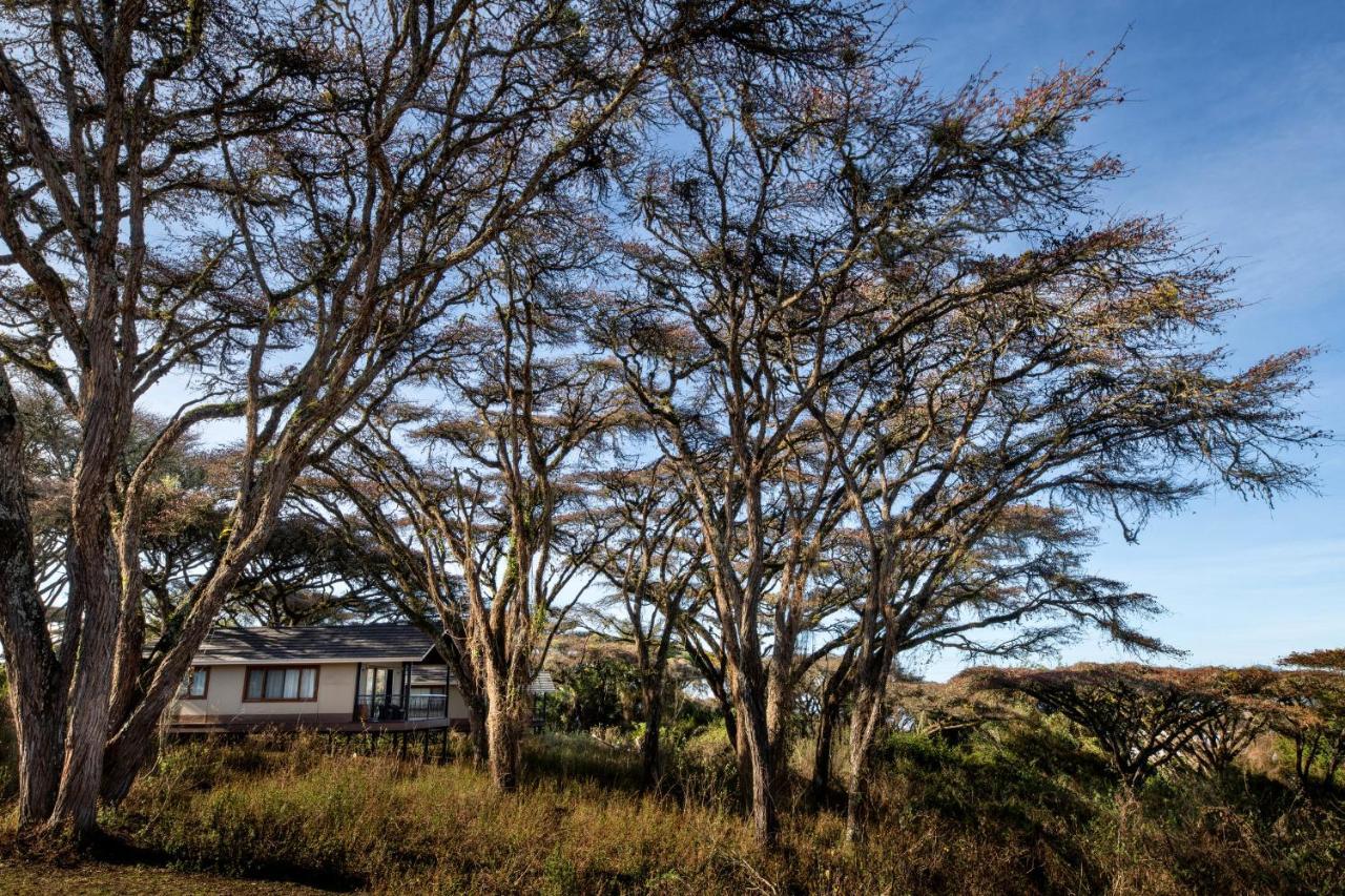 Hotel Lions Paw Ngorongoro Exteriér fotografie